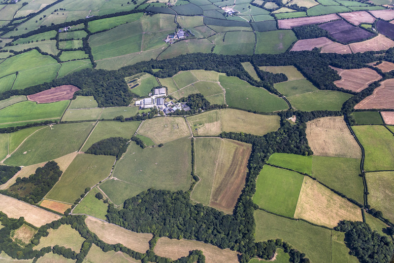 fields from above