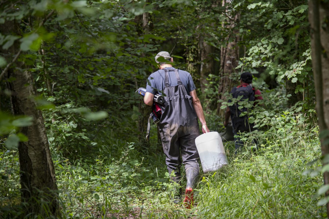 man in the forest