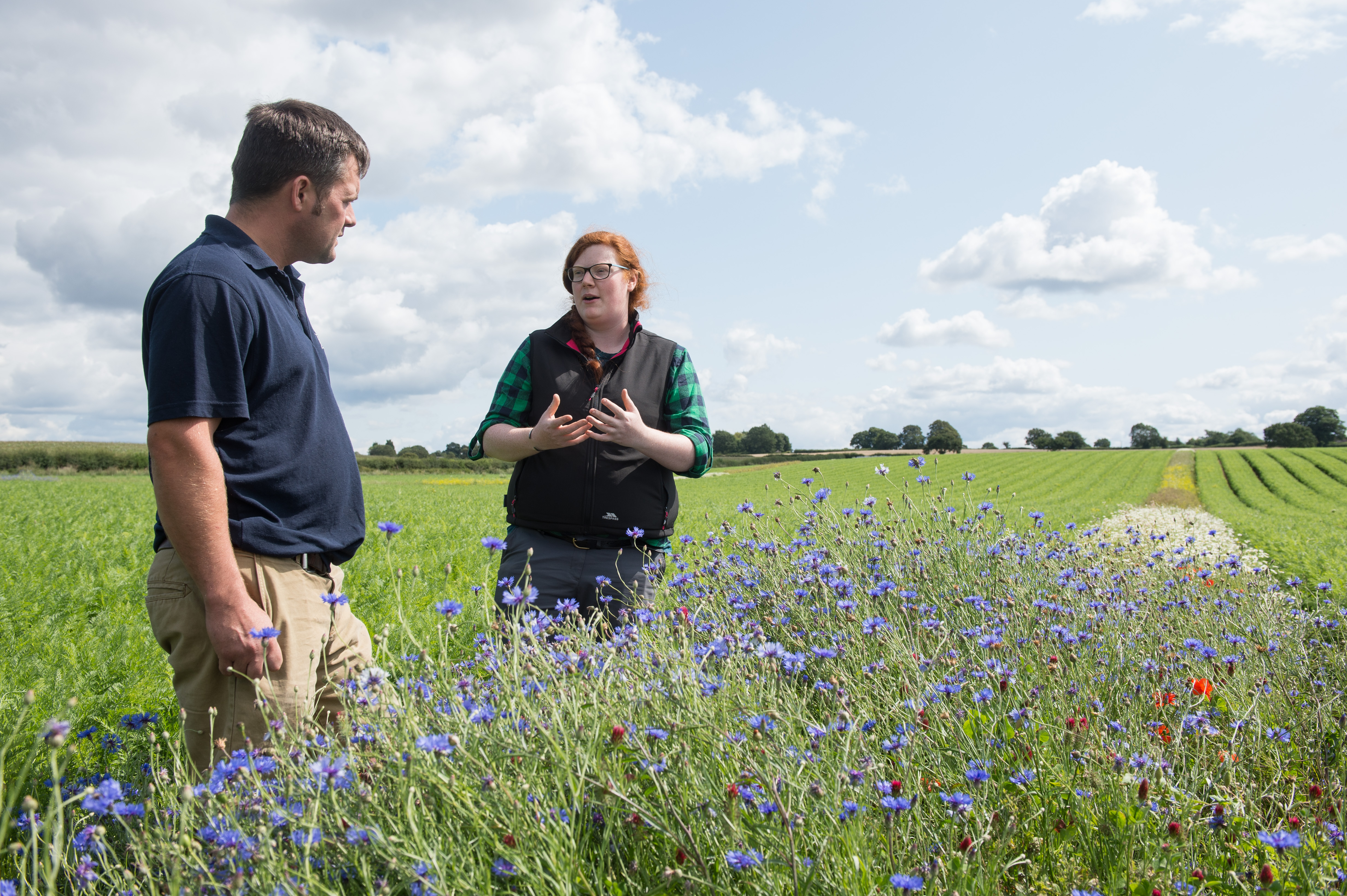 persons in the field