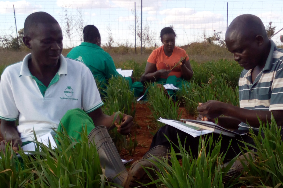 field workers