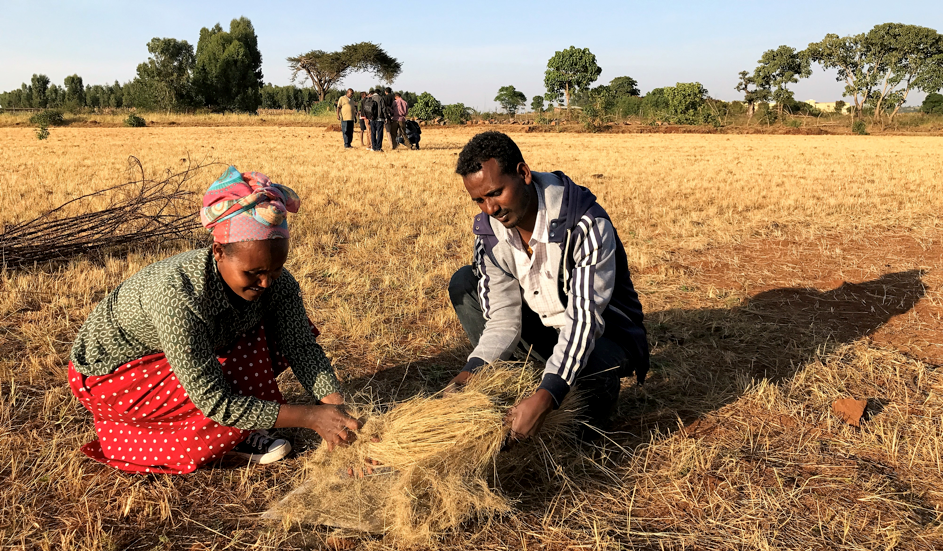 ethiopia