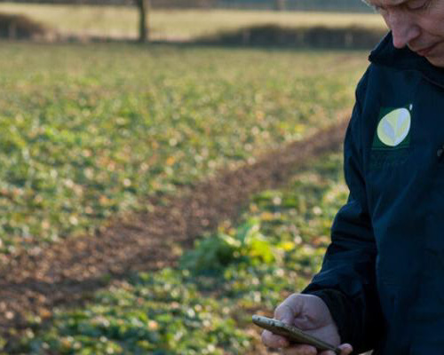 Phone App Gives Farmers Crop Protection Advice