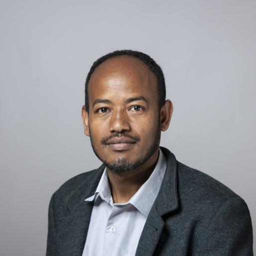Mesfin Kebede Desta's profile picture