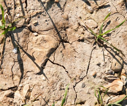dry earth with cracks 
