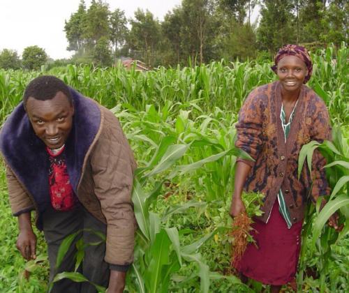 lilian and john wangombe