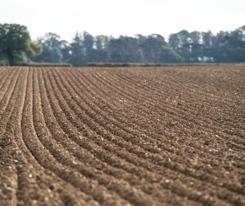 ploughed field - photo credit Rothmasted Research