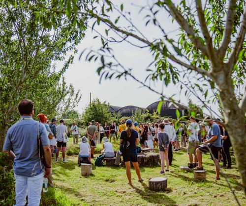 crowd of people gathered amongst trees