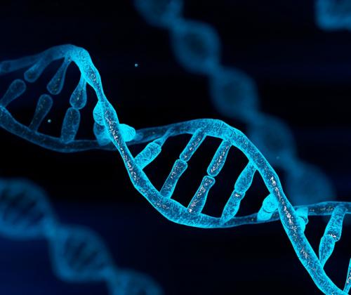 DNA strand