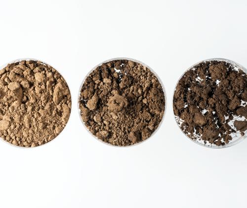 3 petri dishes with different soils on