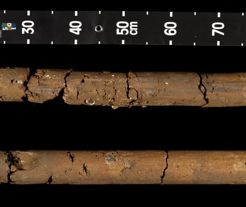 soil carbon