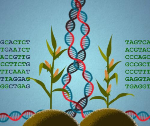 dna picture