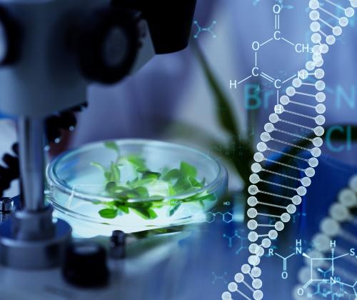 Gene editing graphic